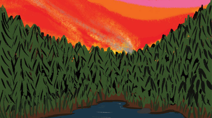 Illustration of a forest underneath red skies as the fire beyond it sends smoke into the air