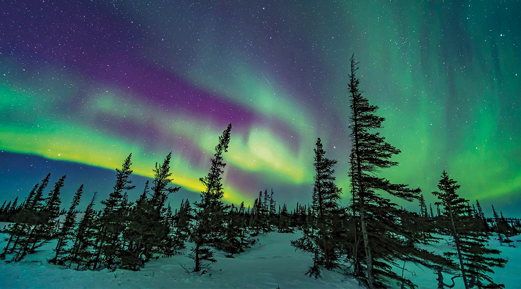 Photo of Northern lights over trees and snow