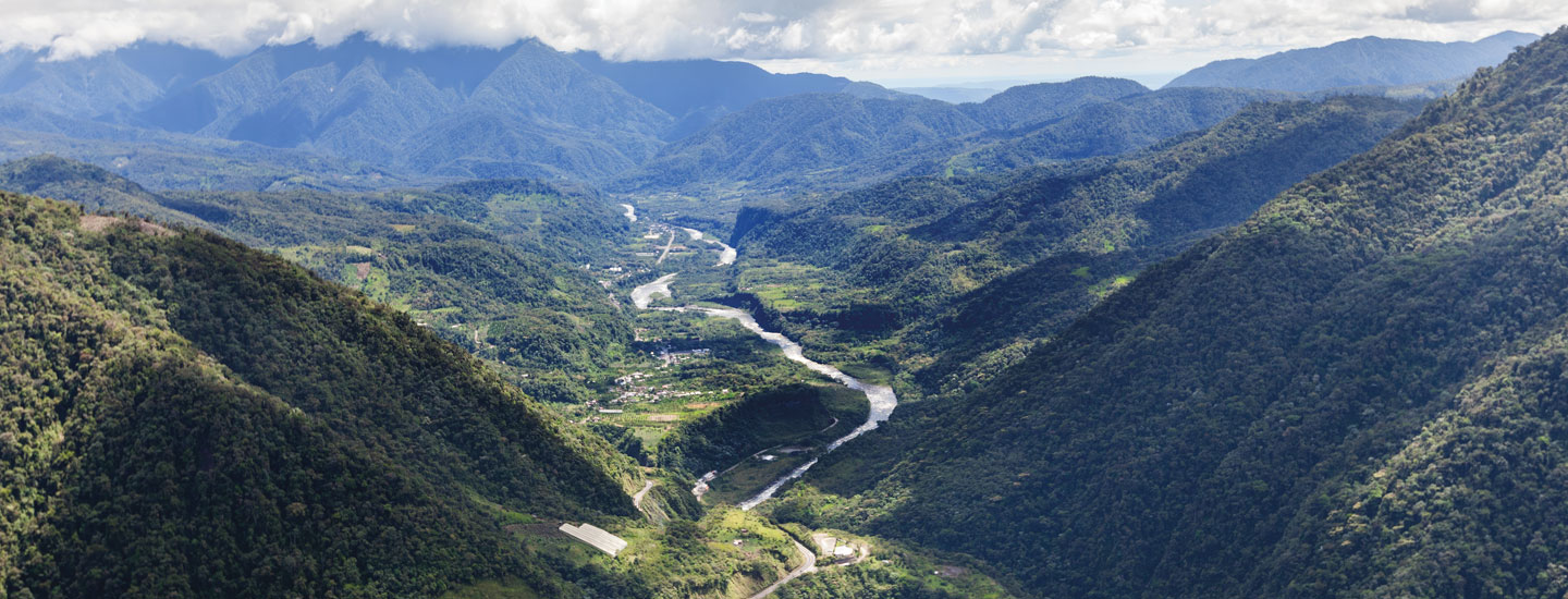 Bird&apos;s eye view of a plush valley